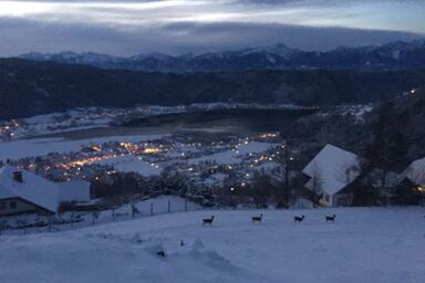 Freistehendes Ferienhaus mit Blick auf den See - Freistehendes Ferienhaus mit Blick auf den See .1