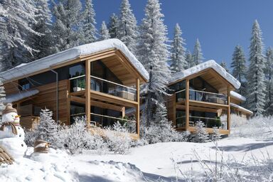 Superior #23 with Sauna & Hot Tub - Superior # 28 mit Sauna & Hot Tub .17