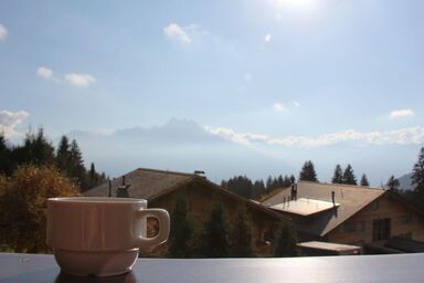 Le Bouquetin 5 - Le Bouquetin 5 .2