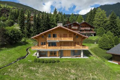 Pinot Gris combles - Pinot Gris combles .1