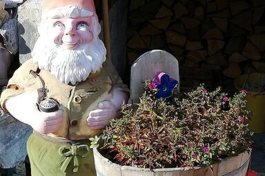 mit Bergblick - mit Bergblick .1