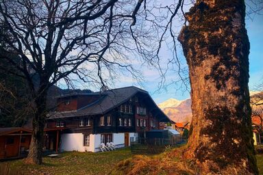 Haus Balm - Haus Balm .1