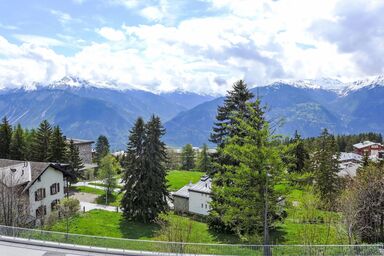 Merises 20 - Merises 17 .1