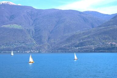 See-Penthouse - See-Penthouse .1