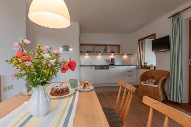 Mösslacherhof - Gänseblümchen