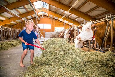 Familienzeit am Motzenhof - Ferienwohnung Familienglück