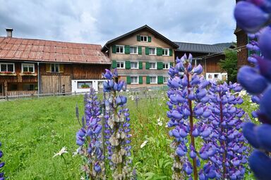 Ferienbauernhof Moosbrugger - Ferienwohnung Altes Bauernhaus