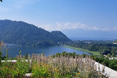 Apartment Augenweide