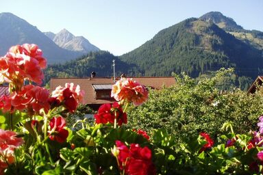 Haus Sonnenruh - FEWO Buntspecht, Südbalkon,