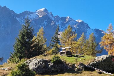 KLAMPERERHOF - Doppelzimmer, Dusche, WC, Balkon