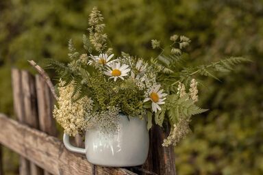 Alpenrose - Ferienwohnung DREI