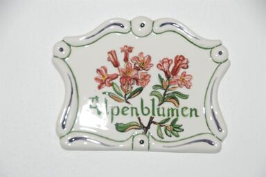 Ferienhof Zamsegg - Doppelzimmer "Alpenblumen" mit Bad, WC