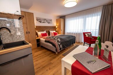 Alp-Chalet - Ferienwohnungen - 1-Raum Appartement Nr. 11 West-Balkon