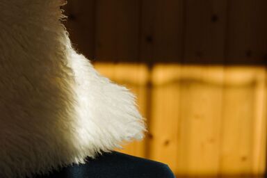 Gimpel - 3-Zimmerwohnung