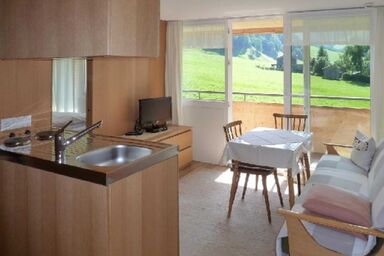 Gästehaus Pfandl Au im Bregenzerwald - Bergblick