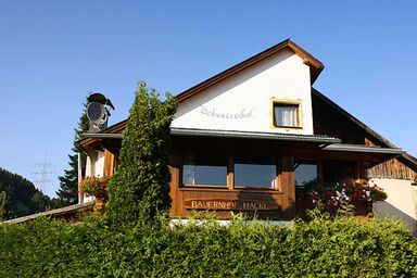 Schweizerhof - Ferienwohnung 1