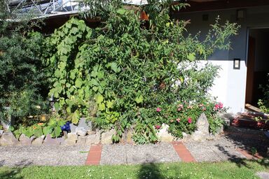 Ferienwohnung Christin - Ferienwohnung Appartment