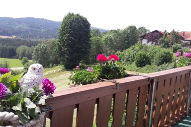 Ferienwohnung-Panoramablick -4