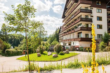 Gemütliches Apartment mit Balkon nähe Hallstatt