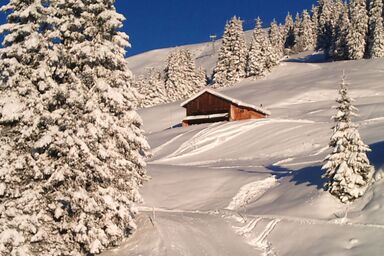 Maiensäss La Casa Cathomen, Brigels, (Breil/Brigels).