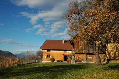 Ferienhaus für 9 Personen ca. 150 qm in Dünserberg, Vorarlberg