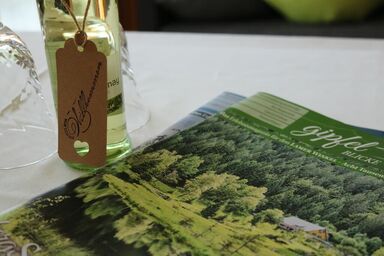 Appartementhaus im Himmelreich - App.Osser/Balkon, 2.Stock