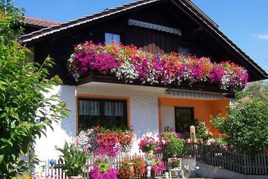 Haus Schmid - Ferienwohnung
