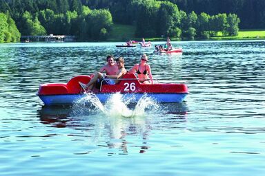 Landhaus Altweck - Ferienwohnung 6 / 40 m² mit Balkon & WLAN