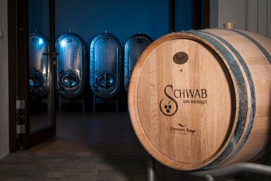 Pension Weingut Schwab - Einzelzimmer mit WC und Dusche inkl. Frühstück