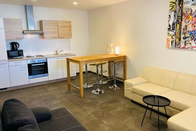 Ferienwohnungen und Monteurunterkunft "Mainbogen-Blick" - Ferienwohnung / Deluxe Apartment 1