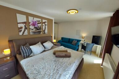 Ferienwohnung und Zimmer zum Donaublick - Ferienzimmer 2 mit Schlafsofa