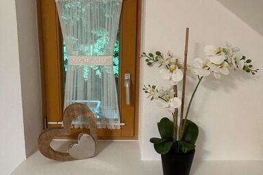 Ferienhäuser Geiersberg - Haus am Wald