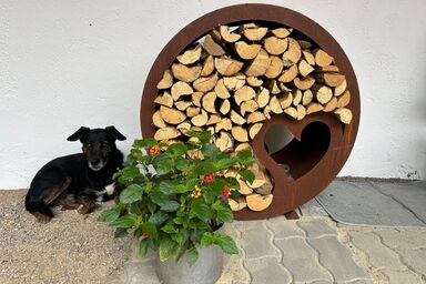 Wandlhof Ferienwohng - Wandlhof Ferienwohng .1