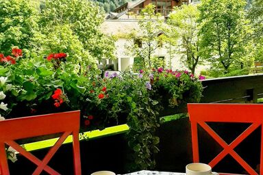 Sun & Mountain View - FeWo Sun & Snow .7