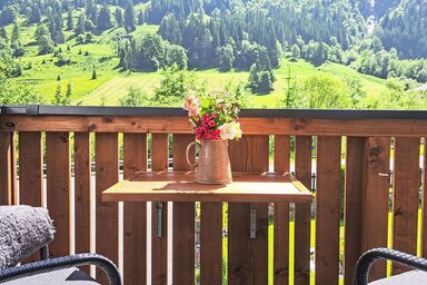 Dankl - Apartement Haus Dankl .1