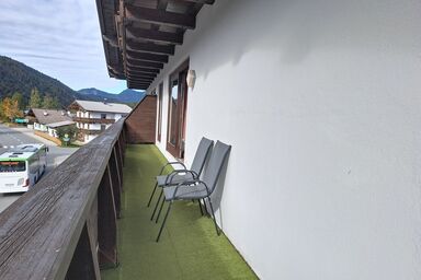Alpenmohn - Alpenrose .13