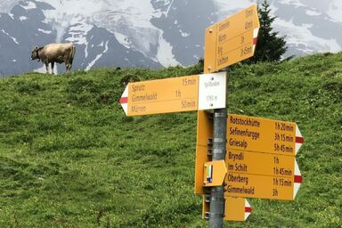 Ferien-Apartment mit Lounge - Ferien-Apartment mit Lounge .1