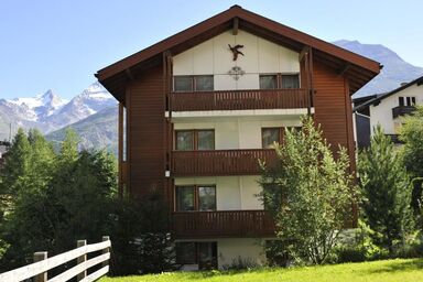 Amasaas - Amasaas .1