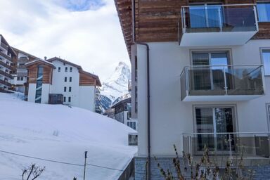 Grillon - Grillon .4