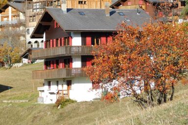 Fernblick - Fernblick .1