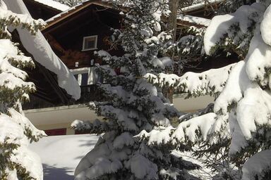 Abigrot - Abigrot .1