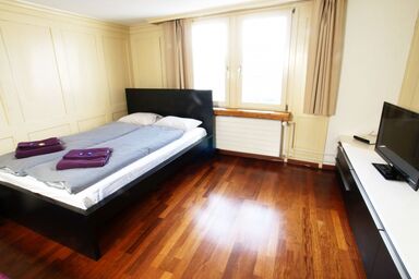 ZH Limmat 5 - HITrental Apartment - ZH Limmat 5 - HITrental Apartment .1