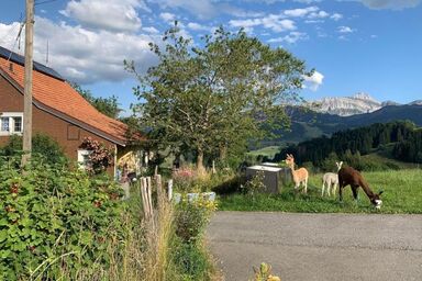 Tiererlebnishof Windegg - Tiererlebnishof Windegg .1