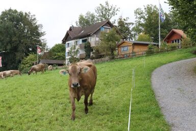 Panorama Blick - Panorama Blick .1