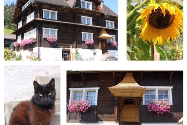 Scheftenau - Scheftenau .1