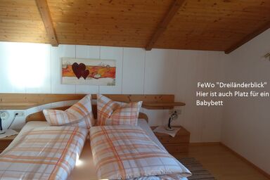 SOHLERHOF mit fantastischem BODENSEE-BLICK - Ferienwohnung "Dreiländerblick"