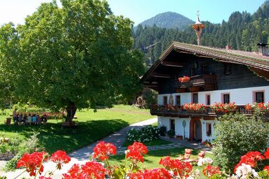 Demeterhof Knolln - Einzelzimmer, Dusche, WC