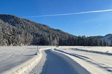 Viva Apartments - Ferienwohnung Karwendel