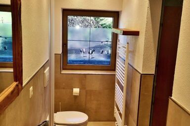 Astoria Appartements - Appartement Kragenjoch Oberau Tirol  1