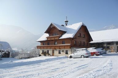 Steinwenderhof - Apartment/2 Schlafräume/2x Dusche, WC